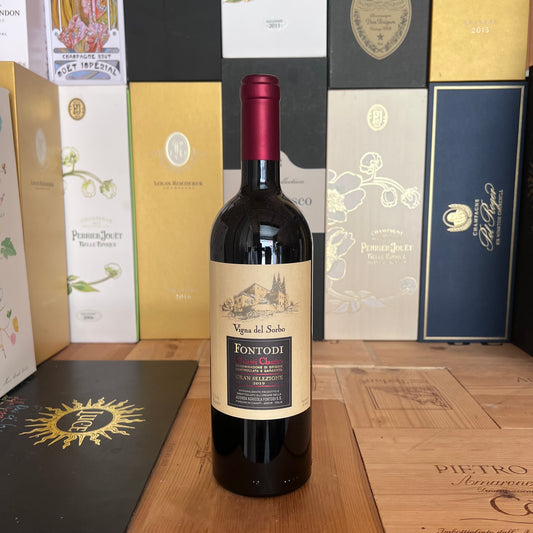Chianti Gran selezione “Vigna del Sorbo” 2019 - Fontodi