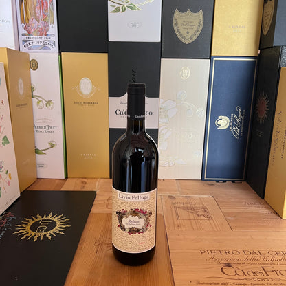 Refosco dal Penducolo Rosso 2017 - Livio Felluga