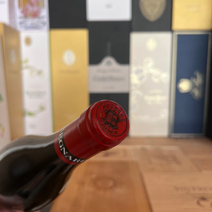 Gevrey Chambertin 2020 - Regnard