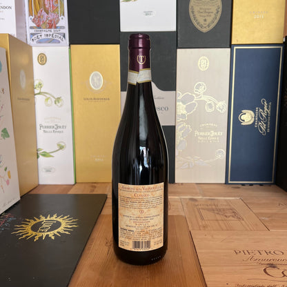 Amarone della Valpolicella 2017 - Tommasi