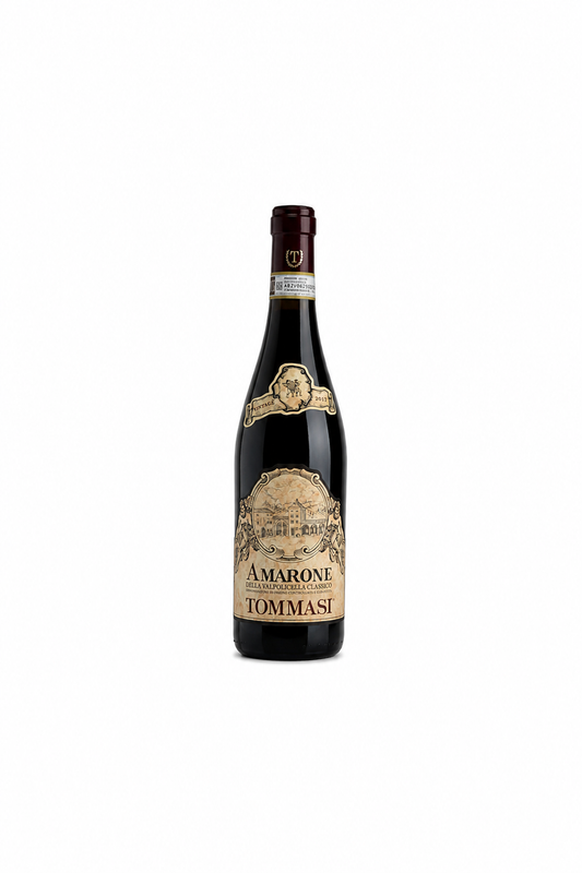 Amarone della Valpolicella 2021 - Tommasi