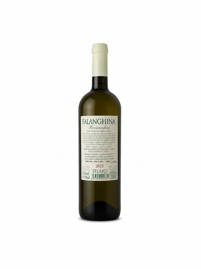 Telaro Falanghina Roccamonfina
