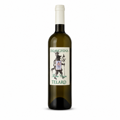 Telaro Falanghina Roccamonfina
